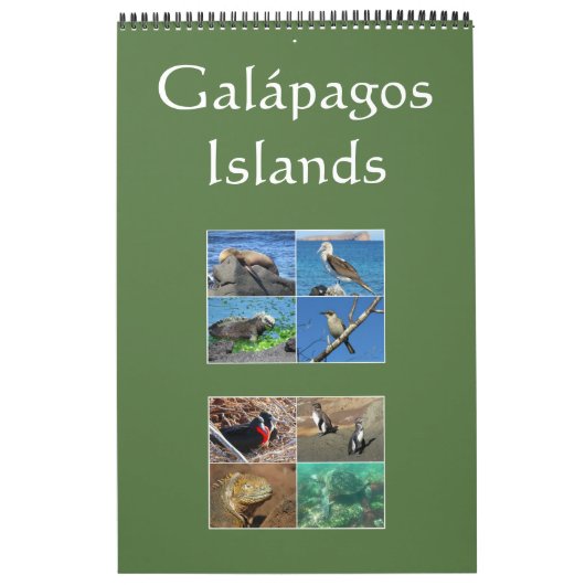 wildstand op de galapagos - eilanden kalender (Hoes)