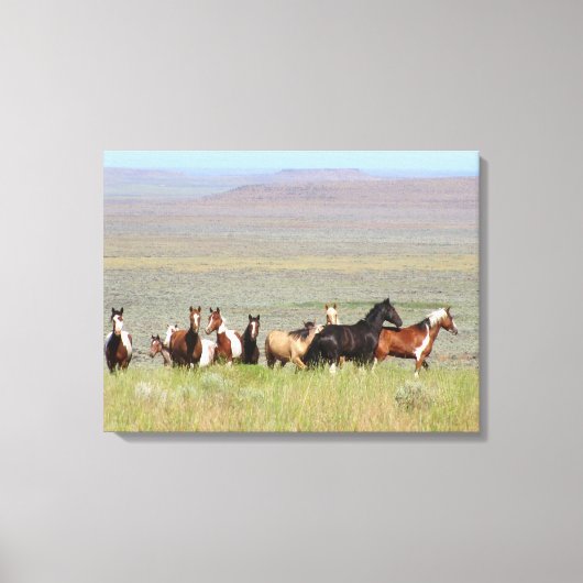 WildWest Mustangs Ingewikkeld Canvas (Voorkant)