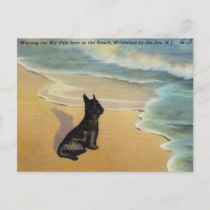 Wildwood-by-the-Zee, New Jersey Briefkaart