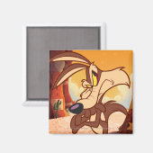 Wile-armen, gekruist magneet (Voorkant / Achterkant)