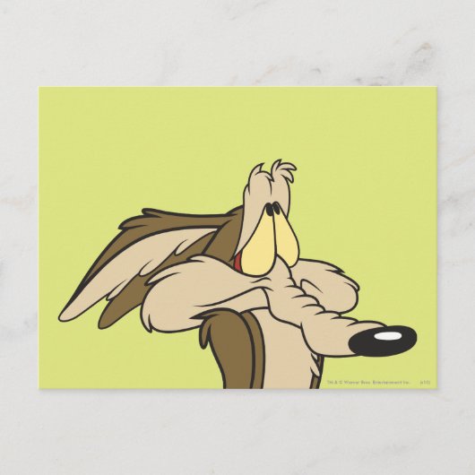 Wile E. Coyote aanstaande Doom Briefkaart (Voorkant)