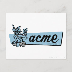 WILE E. COYOTE™ Acme 4 Briefkaart