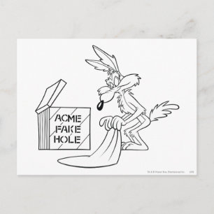 WILE E. COYOTE™ Acme Producten 7 Briefkaart