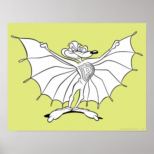 Wile e Coyote Acme Products 8 Poster (Voorkant)