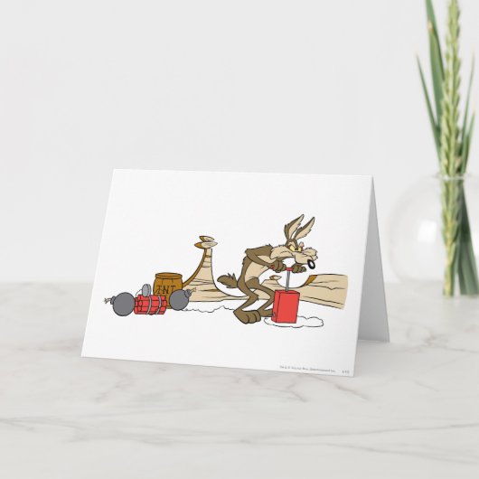 WILE E. COYOTE™ ACME TNT KAART (Voorkant)