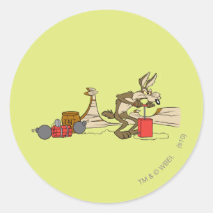 WILE E. COYOTE™ ACME TNT RONDE STICKER