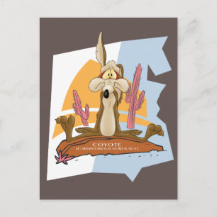 WILE E. COYOTE™ (carnivoor serieus) Briefkaart