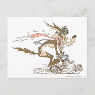 WILE E. COYOTE™ Cyclusracer Briefkaart