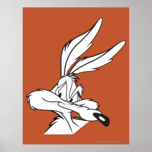 Wile E. Coyote die sluierig kijkt Poster