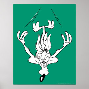 Wile E. Coyote Dive Bomb. Poster