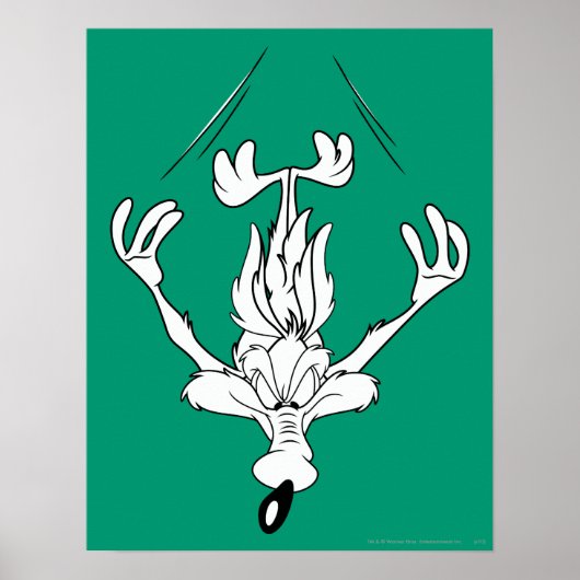 Wile E. Coyote Dive Bomb. Poster (Voorkant)