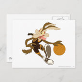 Wile e Coyote Drift via concurrentie Briefkaart (Voorkant / Achterkant)
