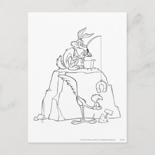WILE E. COYOTE™ en ROAD RUNNER™ Acme Producten Briefkaart