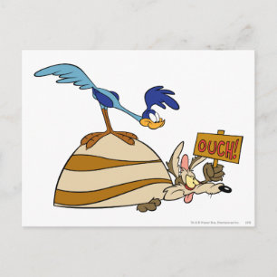 WILE E. COYOTE™ en ROAD RUNNER™ Boulder Briefkaart