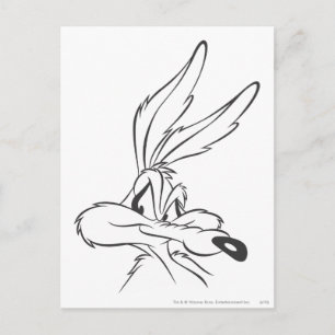 WILE E. COYOTE™ Expressive 7 Briefkaart