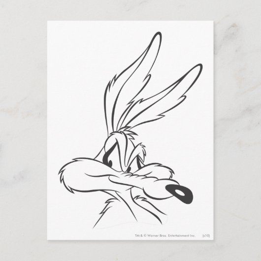 WILE E. COYOTE™ Expressive 7 Briefkaart (Voorkant)