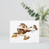WILE E. COYOTE™ Football Briefkaart (Staand voorkant)