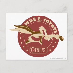 WILE E. COYOTE™ Genius Briefkaart