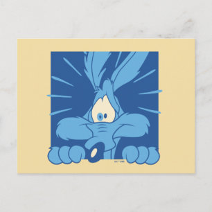 WILE E. COYOTE™ Geschokte Uitdrukking Briefkaart