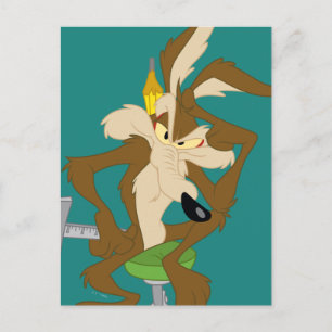 WILE E. COYOTE™ Plannen Briefkaart