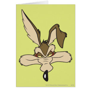 Wile E. Coyote Pleite Head Shot