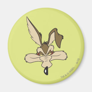 Wile E. Coyote Pleite Head Shot Magneet