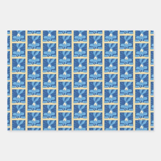 WILE E. COYOTE™ Shocked Expression Inpakpapier Vel (Voorkant)