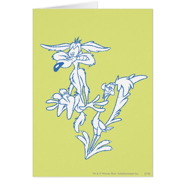 WILE E. COYOTE™ Surpris par ROAD RUNNER™ (Devant)