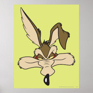 WILE E. COYOTE™ Tevreden Schot in de Roos Poster