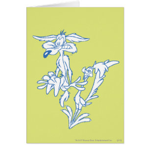 WILE E. COYOTE™ Verrast door de ROAD RUNNER™