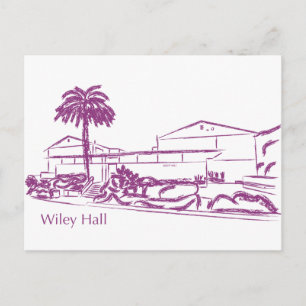 Wiley Briefkaart