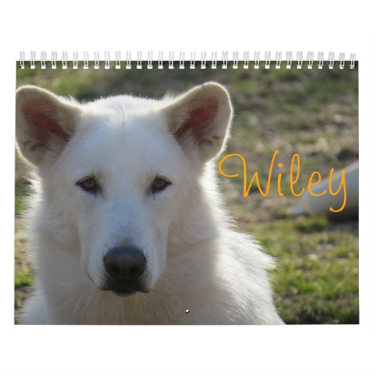 Wiley Calendar Kalender (Hoes)