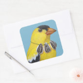 Wiley, les stickers goldfinch (Enveloppe)
