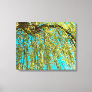 Wilgboomfoto wekken canvas afdruk