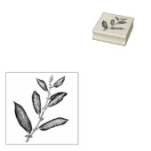 wilgentak 	rubberstempel (Gestempeld)