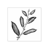 wilgentak 	rubberstempel (Afrduk)