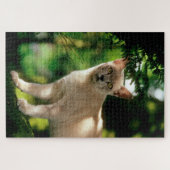 Wilham. Legpuzzel (Horizontaal)