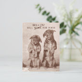 Will Beg & Cry for Food Briefkaart (Staand voorkant)