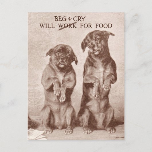 Will Beg & Cry for Food Briefkaart (Voorkant)