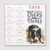 Will Do Tricks For Treats Dog Calendar (Voorkant)