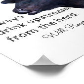 Will Rogers famous quote poster with black cow (Coin)