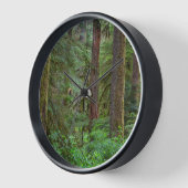 Willamette National Forest | Oregon (Hoek)