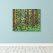 Willamette National Forest | Oregon Canvas Afdruk (Insitu (Houten vloer))