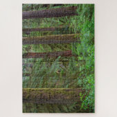 Willamette National Forest | Oregon Legpuzzel (Verticaal)