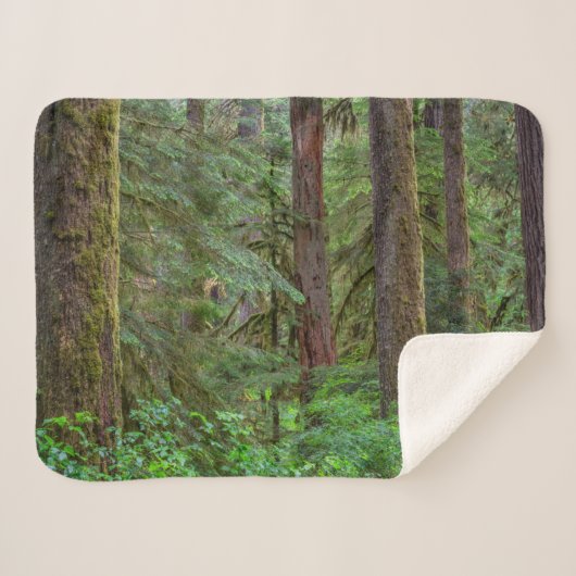 Willamette National Forest | Oregon Sherpa Deken (Voorkant (horizontaal))