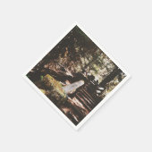 Willamette National Forest Servet (Hoek)