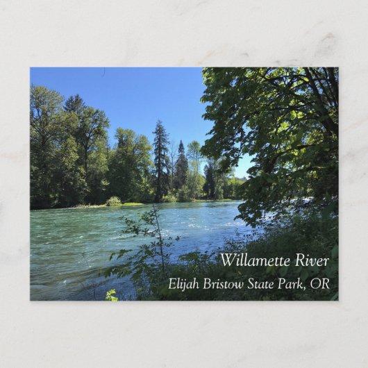 Willamette, OR Briefkaart (Voorkant)
