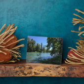 Willamette, OR Fotoplaat (Zijkant)