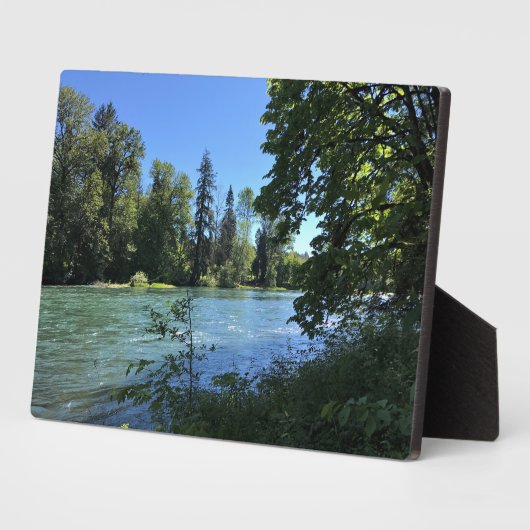 Willamette, OR Fotoplaat (Zijkant)