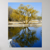 willekeur poster (Voorkant)